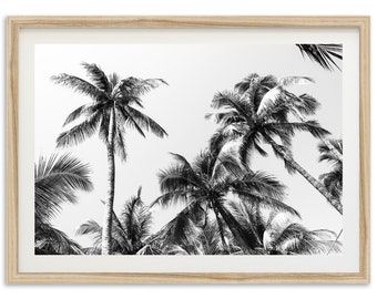 Fine Art Palm Trees Beach Print - Black and White Tropical Ocean Framed Fine Art Photography Home Wall Decor