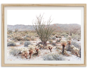 Fine Art Desert Photography Print - Southwest Cactus Landscape Ocotillo Anza Borrego California Superbloom Framed Print Home Wall Decor