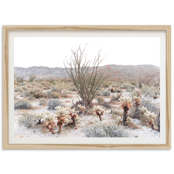 Fine Art Desert Photography Print - Southwest Cactus Landscape Ocotillo Anza Borrego California Superbloom Framed Print Home Wall Decor