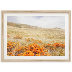 Framed Landscape Photography Print | California Poppy Nature Wall Art, Wild Flower Western Spring Decor