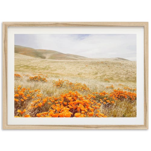 Framed Landscape Photography Print | California Poppy Nature Wall Art, Wild Flower Western Spring Decor