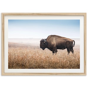 Fine Art American Bison Print - Framed Western Wall Art, Desert Southwest Home Decor, Buffalo Wildlife Photography Print