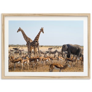 Fine Art Safari Wildlife Print Nursery Animals Nature Framed Fine Art Photography Home Wall Decor image 1