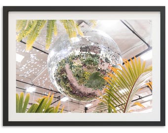 Framed Plant Disco Print | Tropical Palm Trees Photography, Miami Art