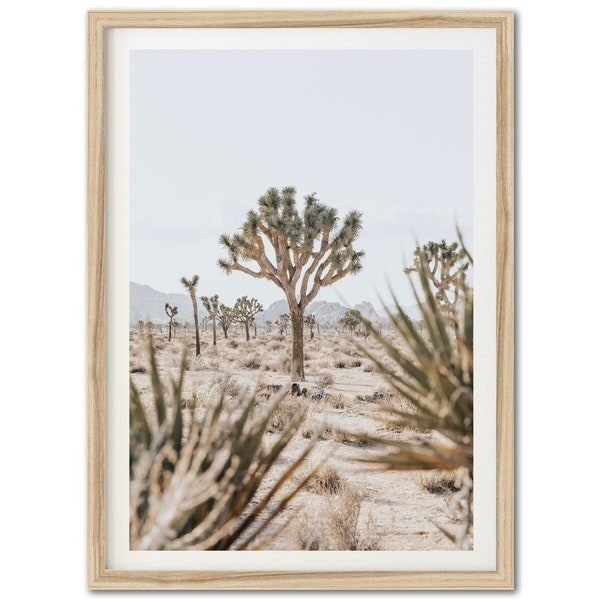 Fine Art Joshua Tree California Print - National Park Southwest Desert Cactus Framed Fine Art Photography Home Wall Decor