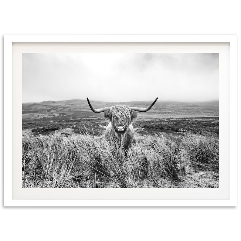 Fine Art Highland Cow Print Black and White Longhorn Bull Mountain Farmhouse Nature Framed Fine Art Photography Home Wall Decor image 2