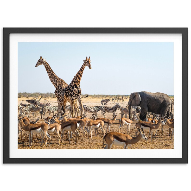 Fine Art Safari Wildlife Print Nursery Animals Nature Framed Fine Art Photography Home Wall Decor image 3