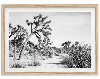 Fine Art Joshua Tree California Trail Print - National Park Desert Landscape Framed Fine Art Photography Wall Decor