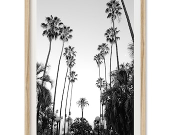 Framed Palm Tree Print | Black and White Beverly Hills Photography Wall Art