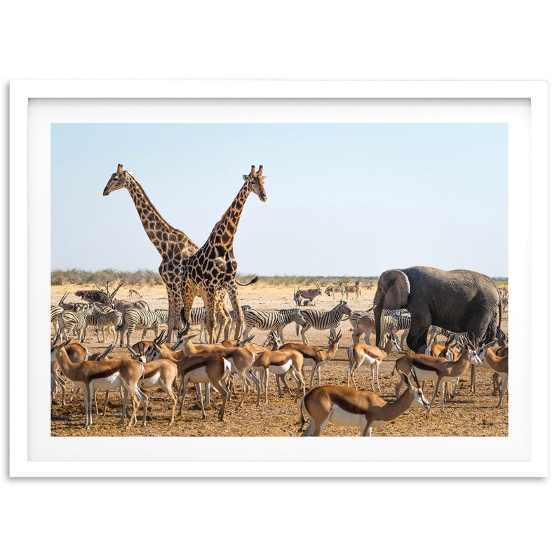 Fine Art Safari Wildlife Print Nursery Animals Nature Framed Fine Art Photography Home Wall Decor image 2