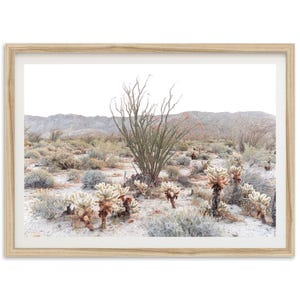Framed Desert Cactus Print | Anza Borrego Photography, Western Landscape Wall Art