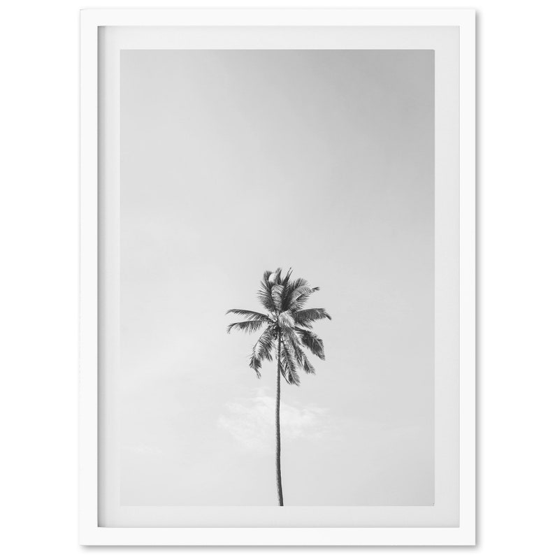 Bellas Artes Palmera Impresión en blanco y negro Minimalista Casa de Playa Océano Tropical Enmarcado Fotografía de Bellas Artes Decoración de la pared del hogar imagen 1