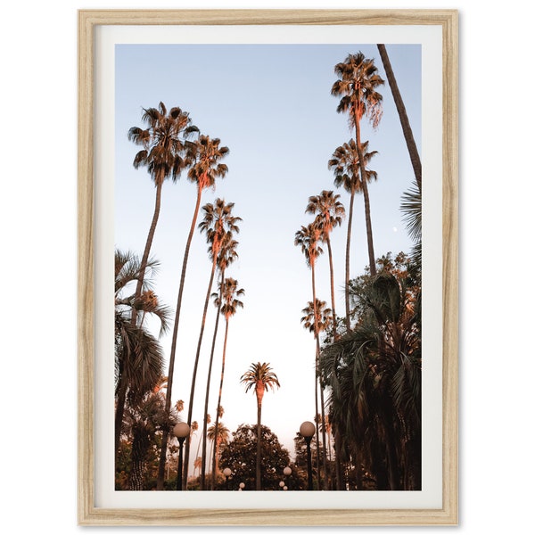 Fine Art Californië ingelijste print - Beverly Hills Los Angeles palmbomen ingelijste fotografie print Home Wall Decor