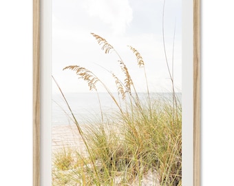 Framed Beach Grass Photography Print | Coastal Wall Art, Florida Seascape Decor, Sea Oats