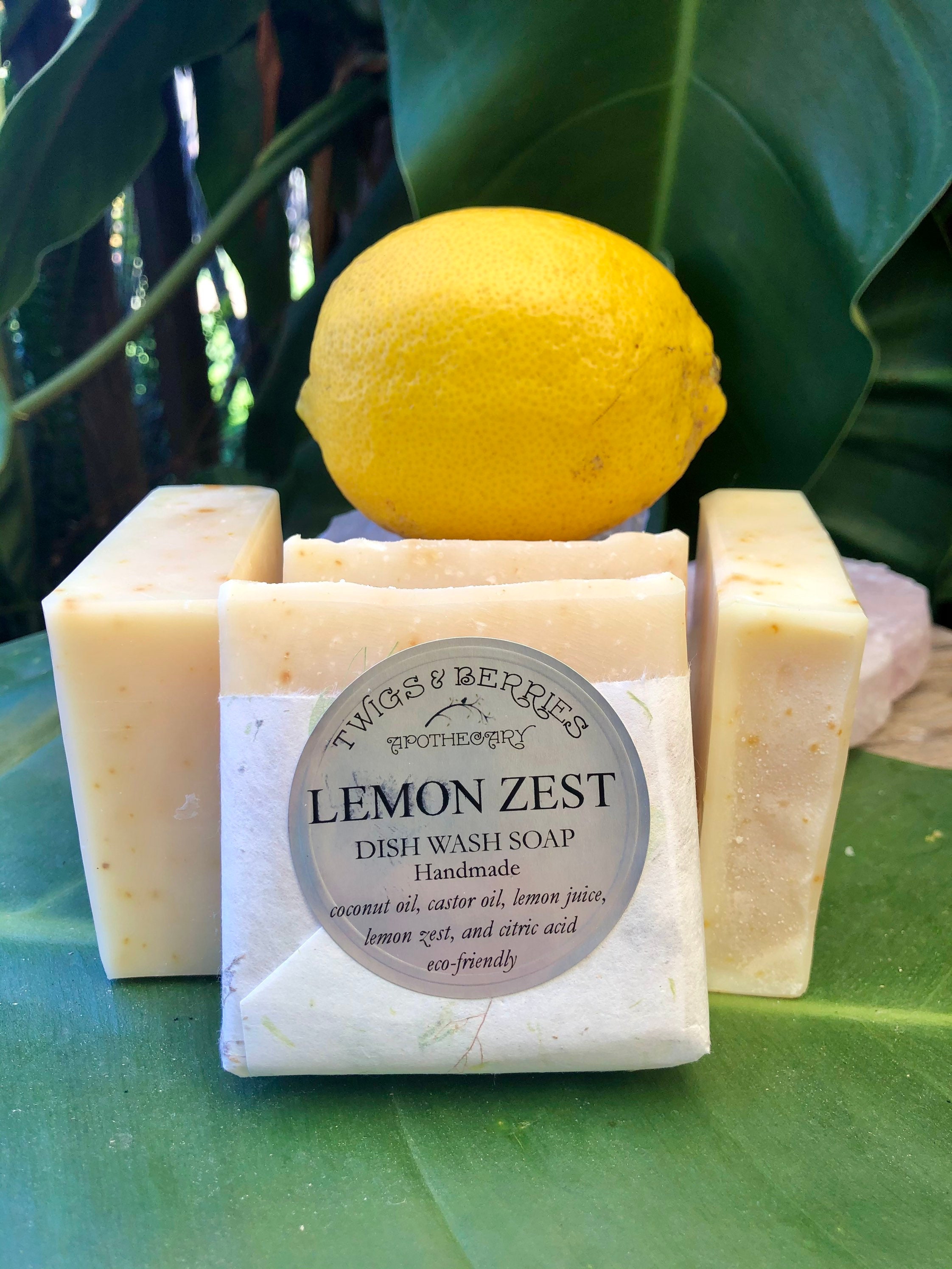 Eco Friendly Dish Soap Etsy