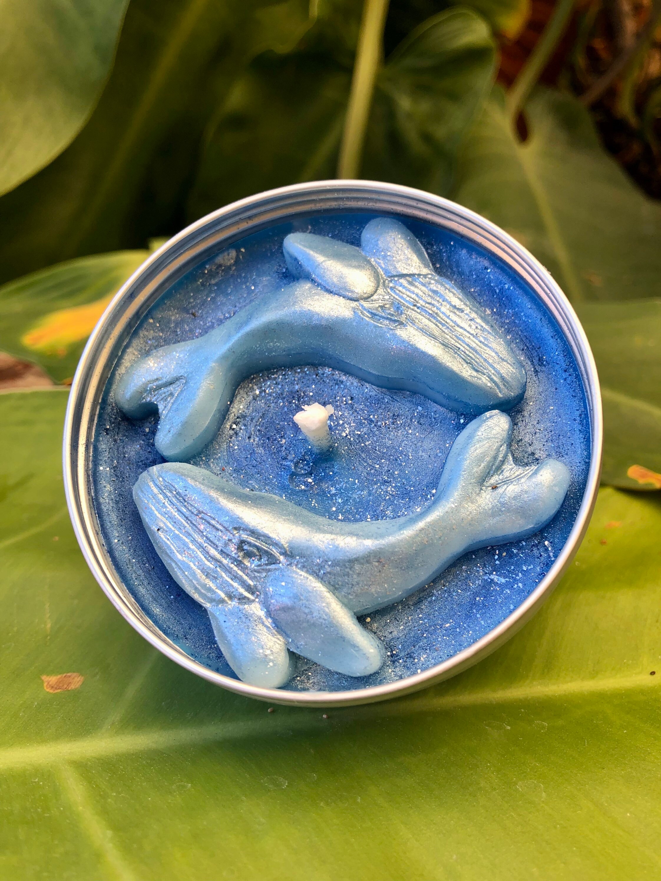 New Whale Lovers Candle Whale Candles Humpback Whales Etsy