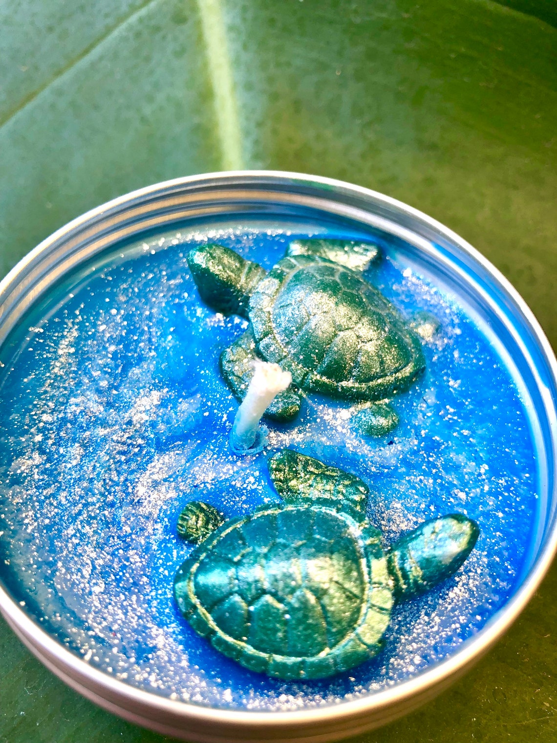 Sea Turtle Soy Candle New Sea Turtle Family Sea Turtle Etsy