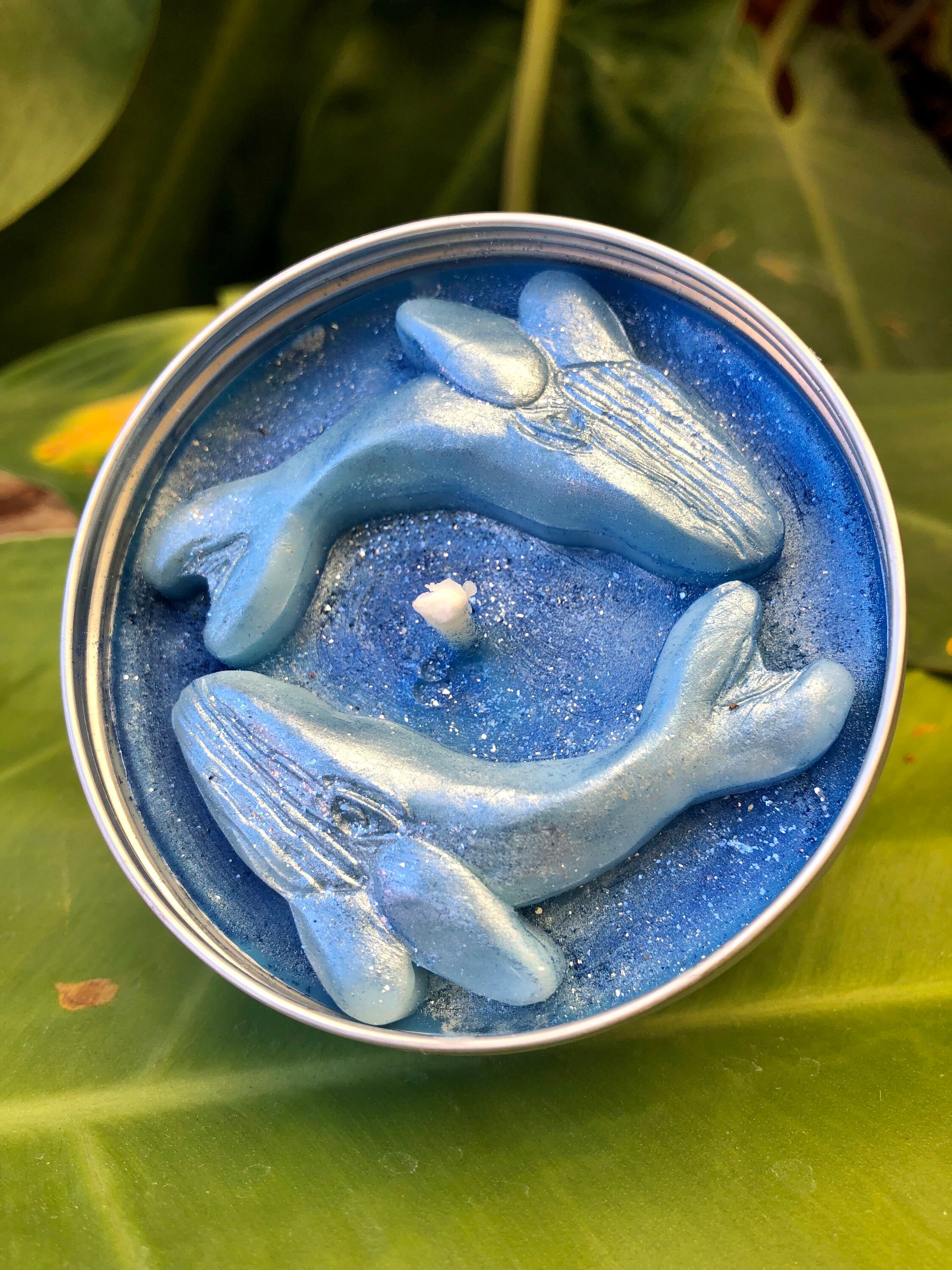 New Whale Lovers Candle Whale Candles Humpback Whales Etsy