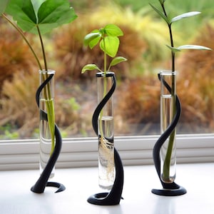 Plant Propagation Stand With Glass Tube, Spiral Planter Holder