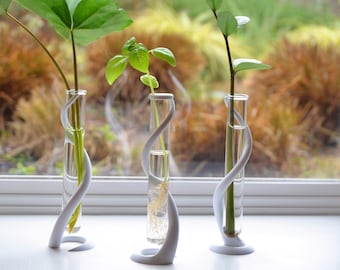 Support de propagation des plantes avec tube en verre, support de jardinière en spirale