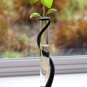 May include: A small green plant with roots growing in a clear glass tube. The tube is held in place by a black, 3D printed stand that is shaped like a twisted snake.