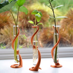May include: Three glass test tubes with plants growing in them are held in place by copper-colored, twisted metal stands. The stands are shaped like a swirl or a wave.