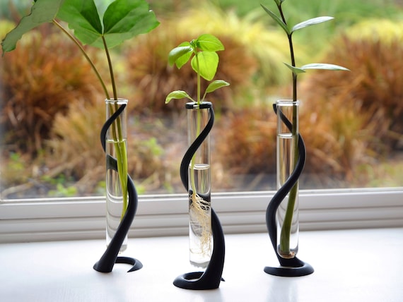 Plant Propagation Stand With Glass Tube, Spiral Planter Holder