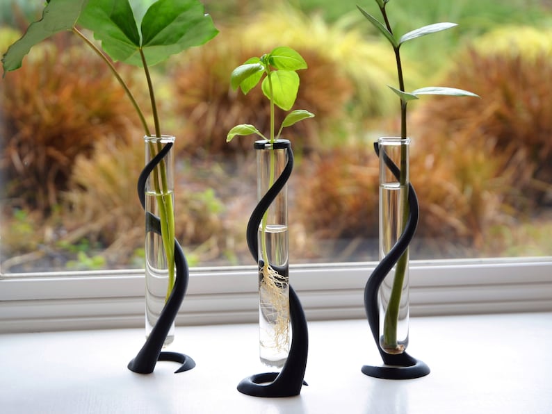 May include: Three glass test tubes with plants growing in them are displayed in black, twisted, sculptural holders. The test tubes are filled with water and the plants are green.