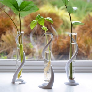 May include: Three white, twisted, vase-like holders with glass test tubes containing different plants. The plants are a leafy green plant, a small green plant with leaves, and a green plant with a single stem.