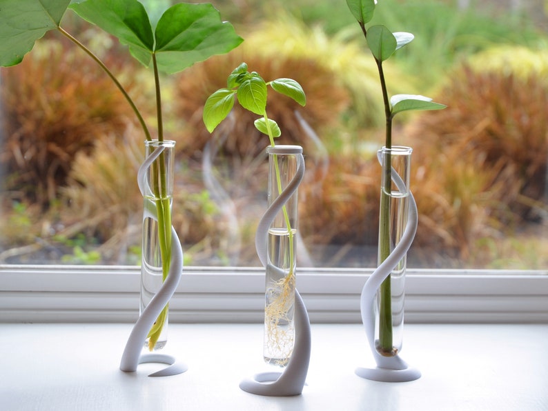 May include: Three white, twisted, vase-like holders with glass test tubes containing different plants. The plants are a leafy green plant, a small green plant with leaves, and a green plant with a single stem.