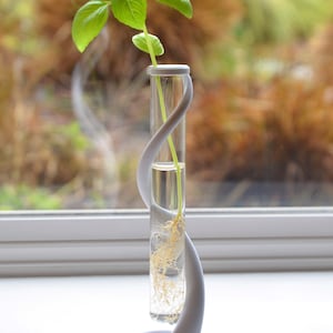 May include: A white ceramic vase with a unique curved design holds a small green plant with roots in water. The vase is on a white surface.