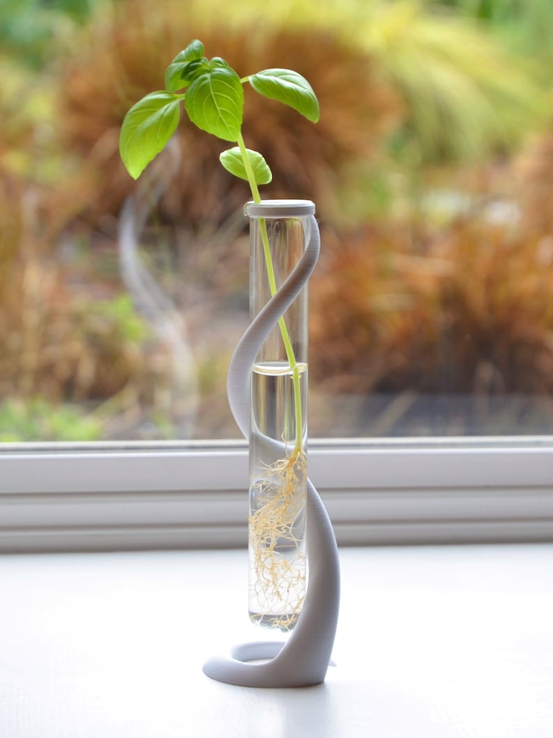 May include: A white ceramic vase with a unique curved design holds a small green plant with roots in water. The vase is on a white surface.