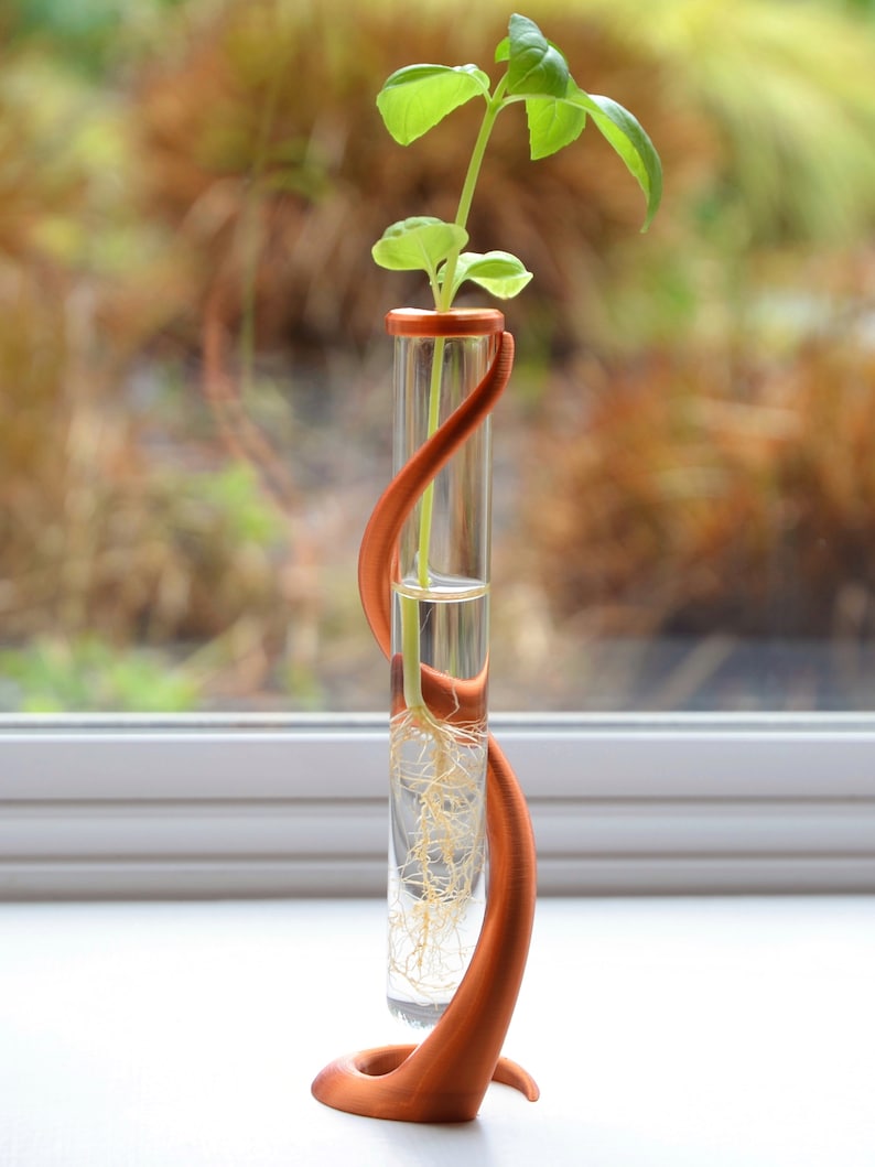 May include: A copper-colored metal stand with a curved design holds a glass test tube filled with water and a small green plant with roots.