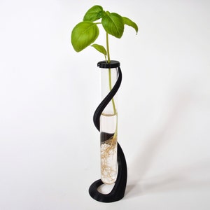 May include: A black, curved stand holds a glass test tube filled with water and a small green plant with roots.