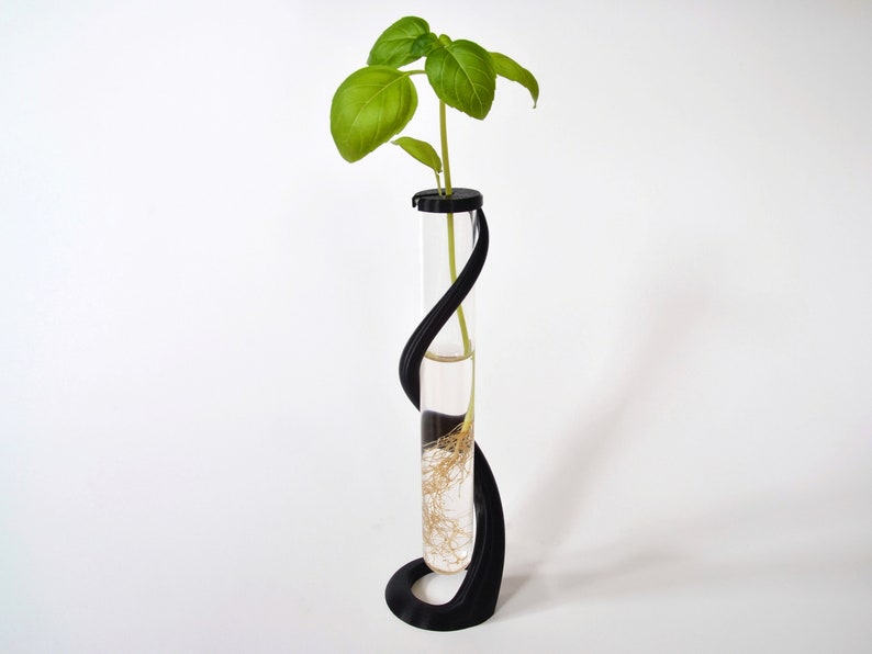 May include: A black, curved stand holds a glass test tube filled with water and a small green plant with roots.