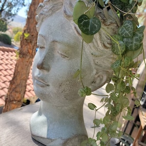 Medium Size Goddess / Woman Head planter / Face Planter