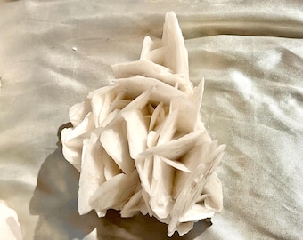May include: A cluster of white desert rose crystals, with a layered, petal-like structure. The crystals have a rough, textured surface and are arranged in a radial pattern. The mineral formation is set against a light grey background.