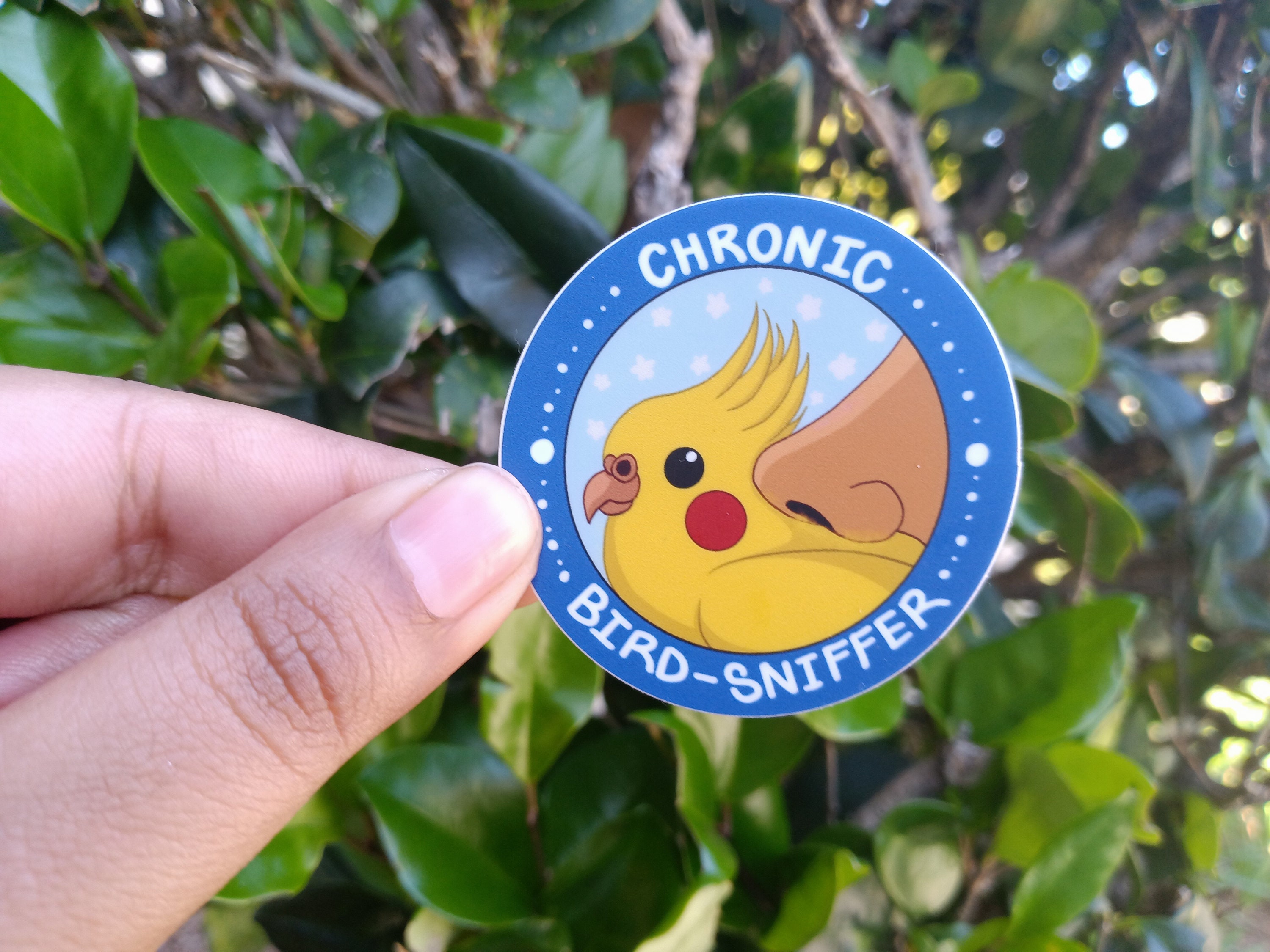 Chronic Bird-sniffer Vinyl Sticker| Funny Birb Borb Badge Decal ...