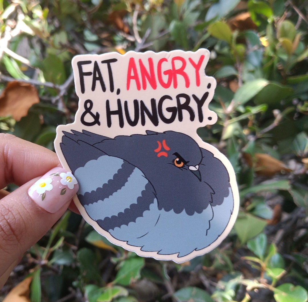 Fat, Angry, and Hungry Pigeon Weatherproof Vinyl Sticker| Funny Chonky ...