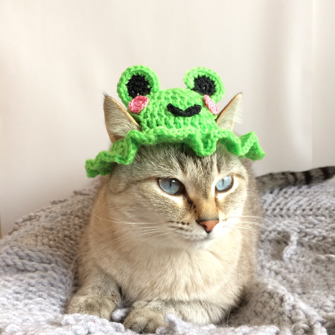 Crochet hat for cat frog hat crochet pattern for pets Etsy