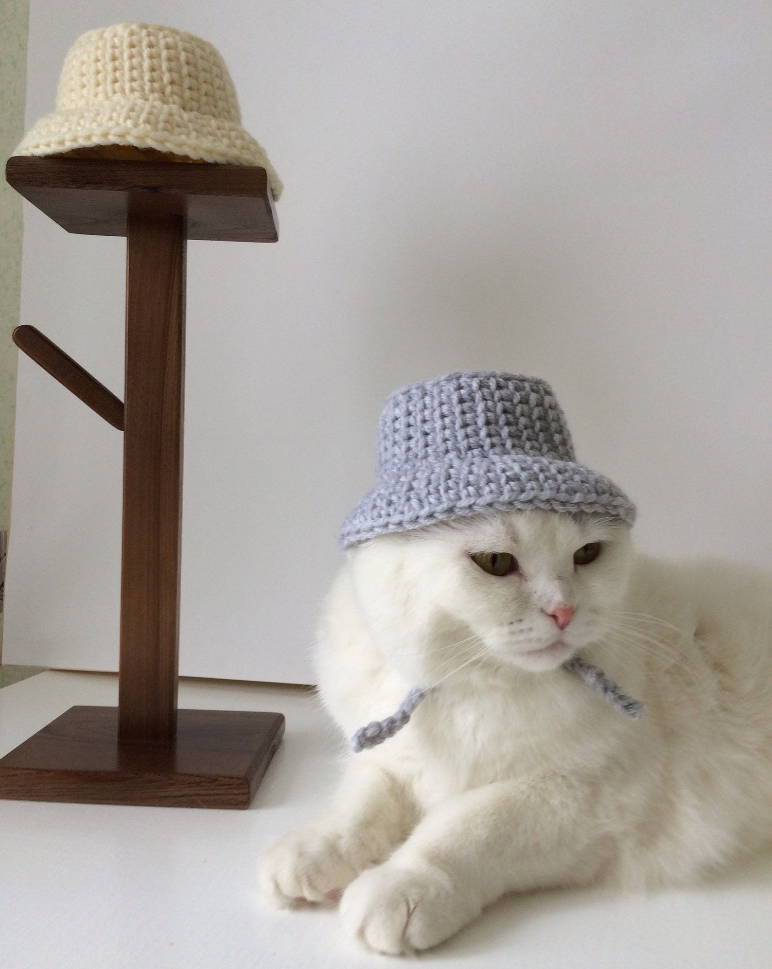 Bucket Hat Pattern Bucket Hat for Cat Crochet Hat for Cats Etsy
