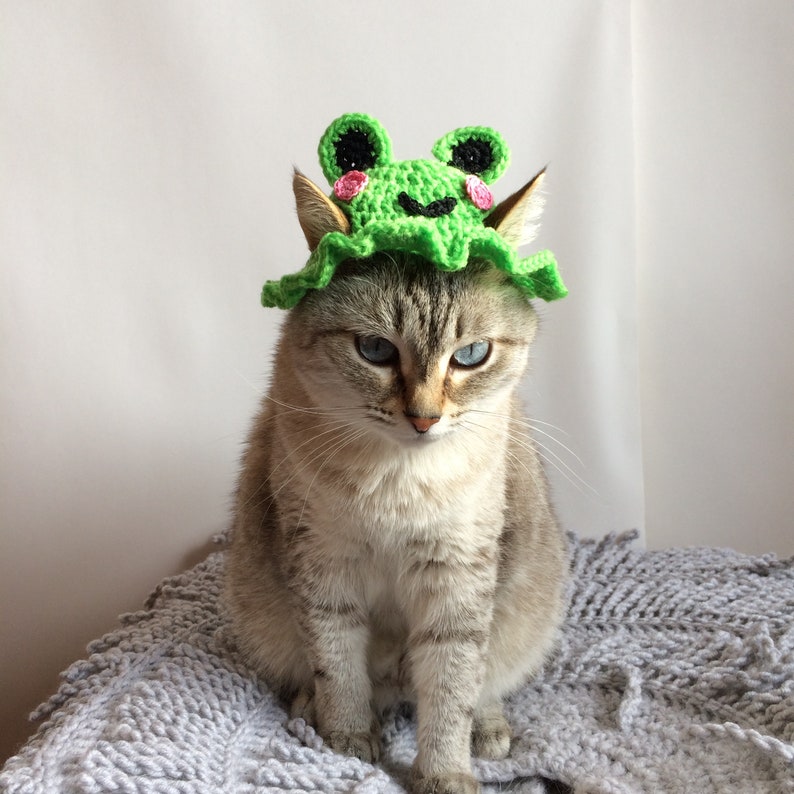 Crochet hat for cat frog hat crochet pattern for pets Etsy