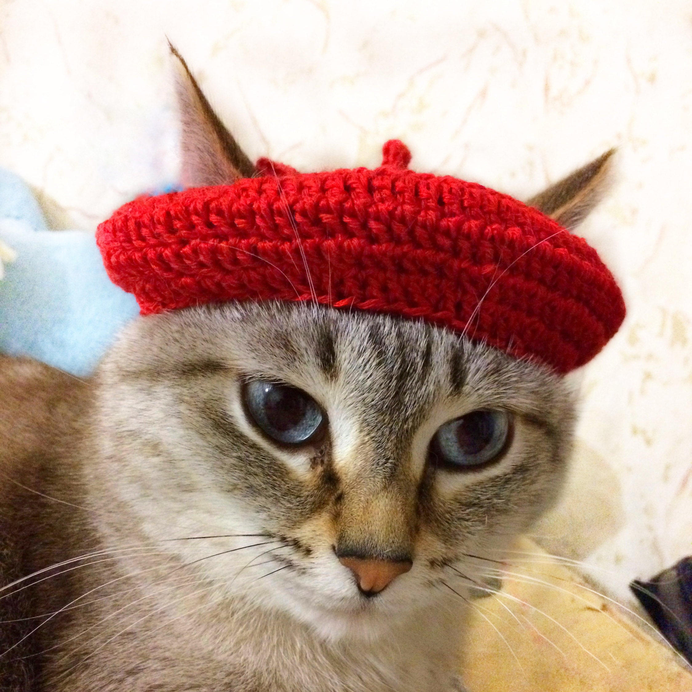 French beret hat cat crochet pattern beret hat for cat Etsy