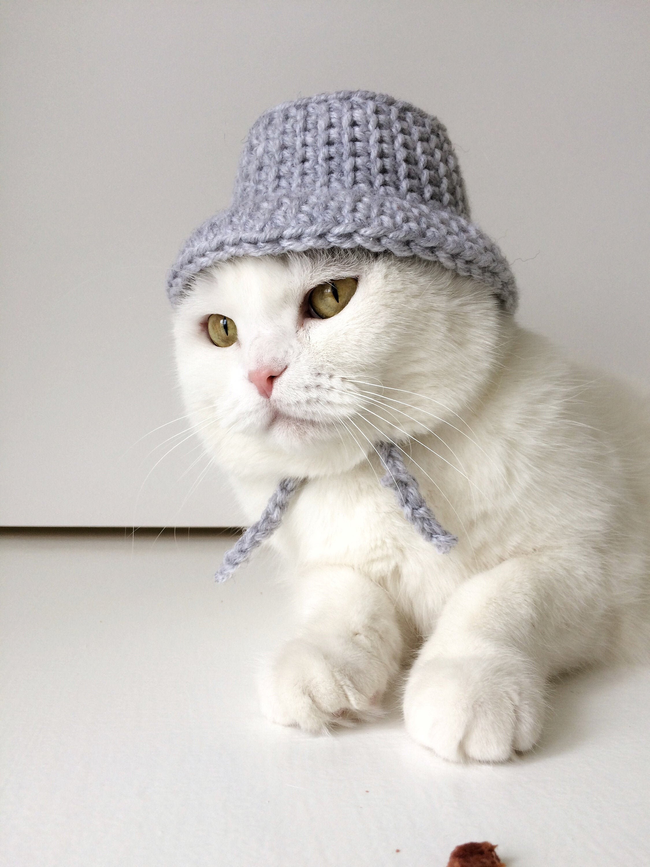 Bucket hat pattern bucket hat for cat crochet hat for cats Etsy