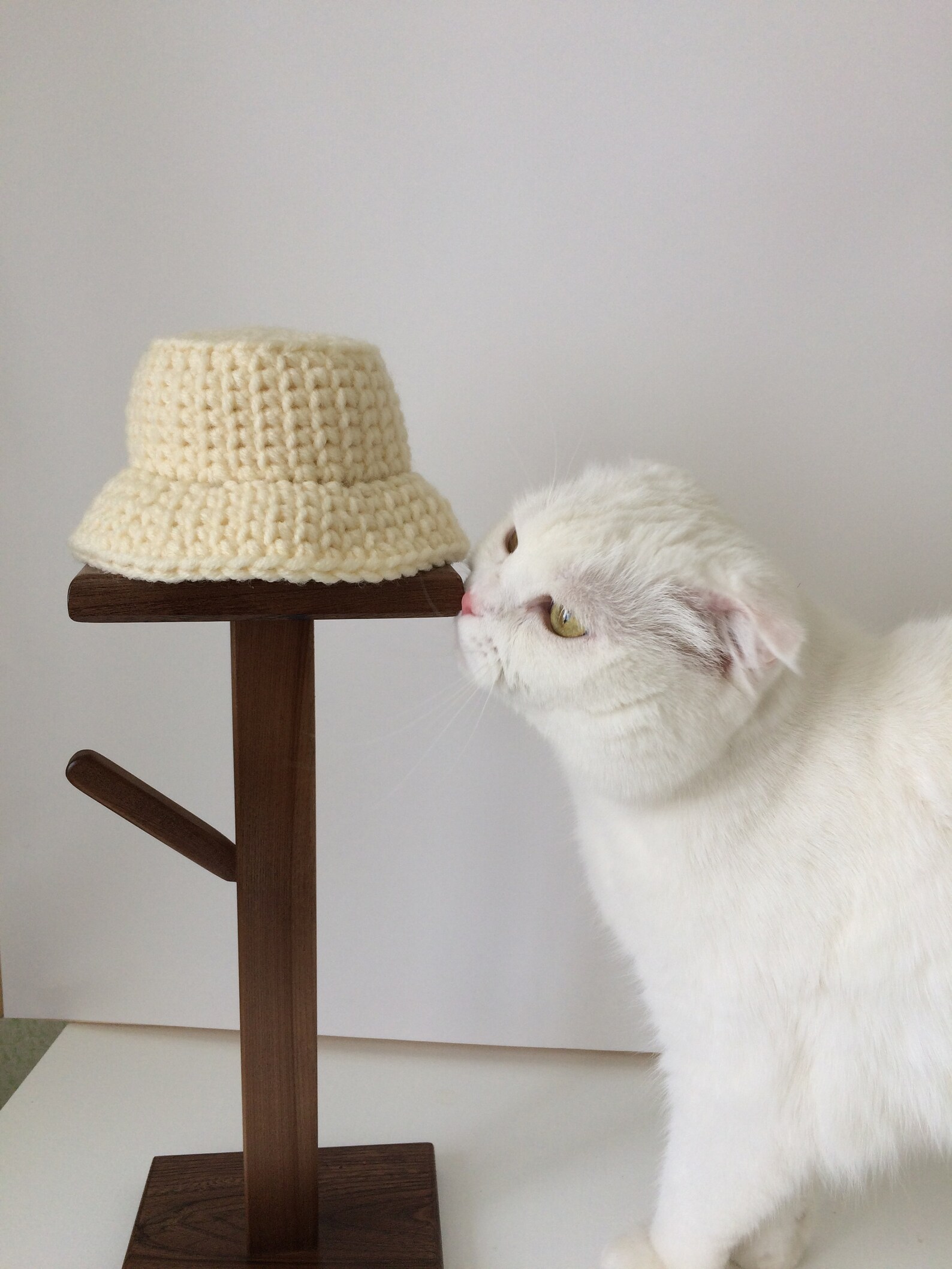 Bucket hat pattern bucket hat for cat crochet hat for cats Etsy