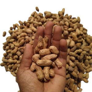 Kit de plantation de cacahuète personnalisé