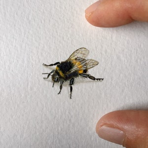 Bumblebee, watercolour painting, actual size, tiny art