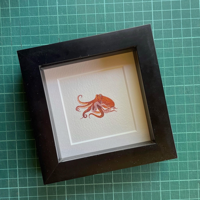 Octopus Original Watercolour Painting, Miniature Marine Life Art, Tiny Cephalopod Artwork image 3