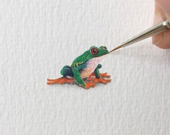 Red-eyed Tree Frog, watercolour painting, actual size