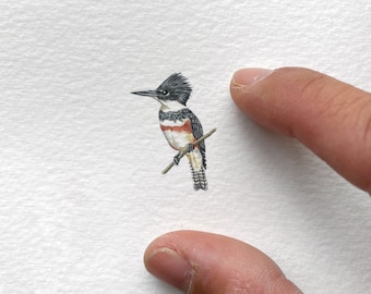 Belted Kingfisher, original painting, miniature watercolour, tiny art, bird art